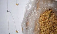 串钩怎么绑方法视频,轻松掌握钓鱼技巧